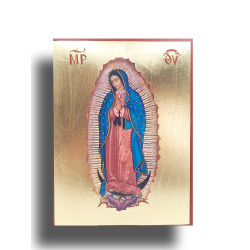 Ikona Panny Marie Guadalupské, Patronky a Zjevení naděje