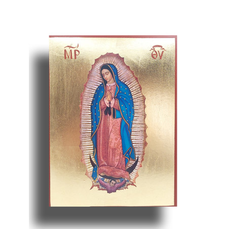 Ikona Panny Marie Guadalupské, Patronky a Zjevení naděje