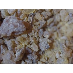 Svatá pryskyřice ománská 30g