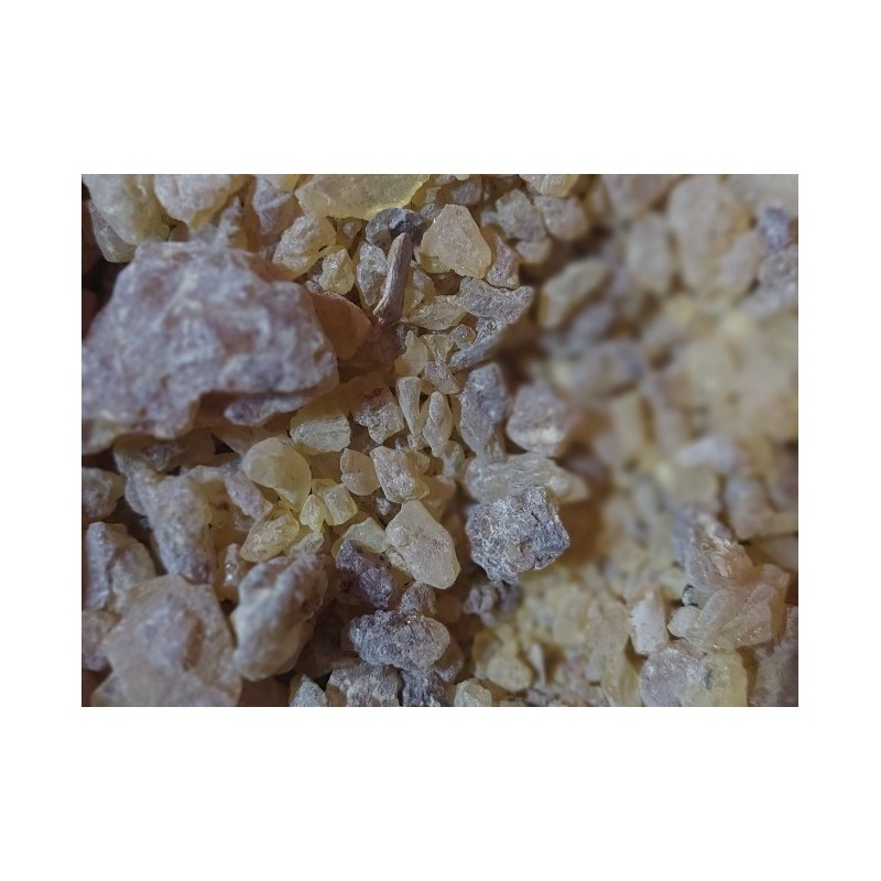 Svatá pryskyřice ománská 30g